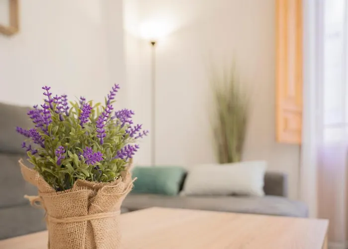 Apartamento Alhambra.mesones 4 *