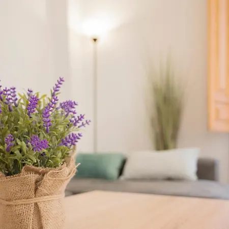 Apartamento Alhambra.mesones 4 *